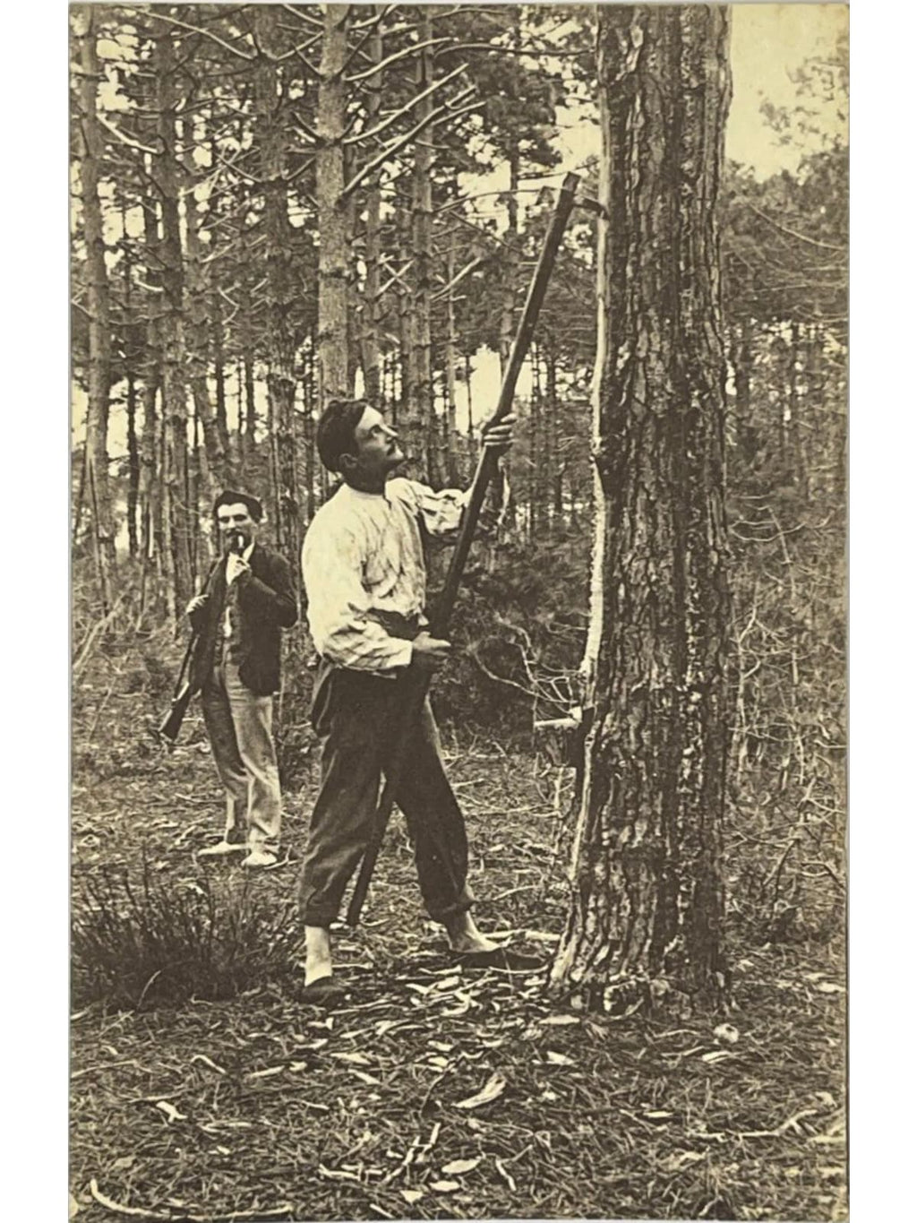 Recto de la carte postale