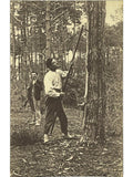 Recto de la carte postale
