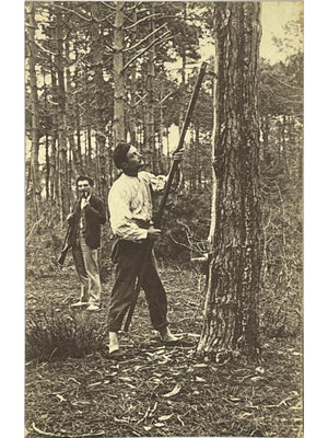 Landes – Les Gemmiers, récolte de résine en forêt – CPA Roger Sourgen