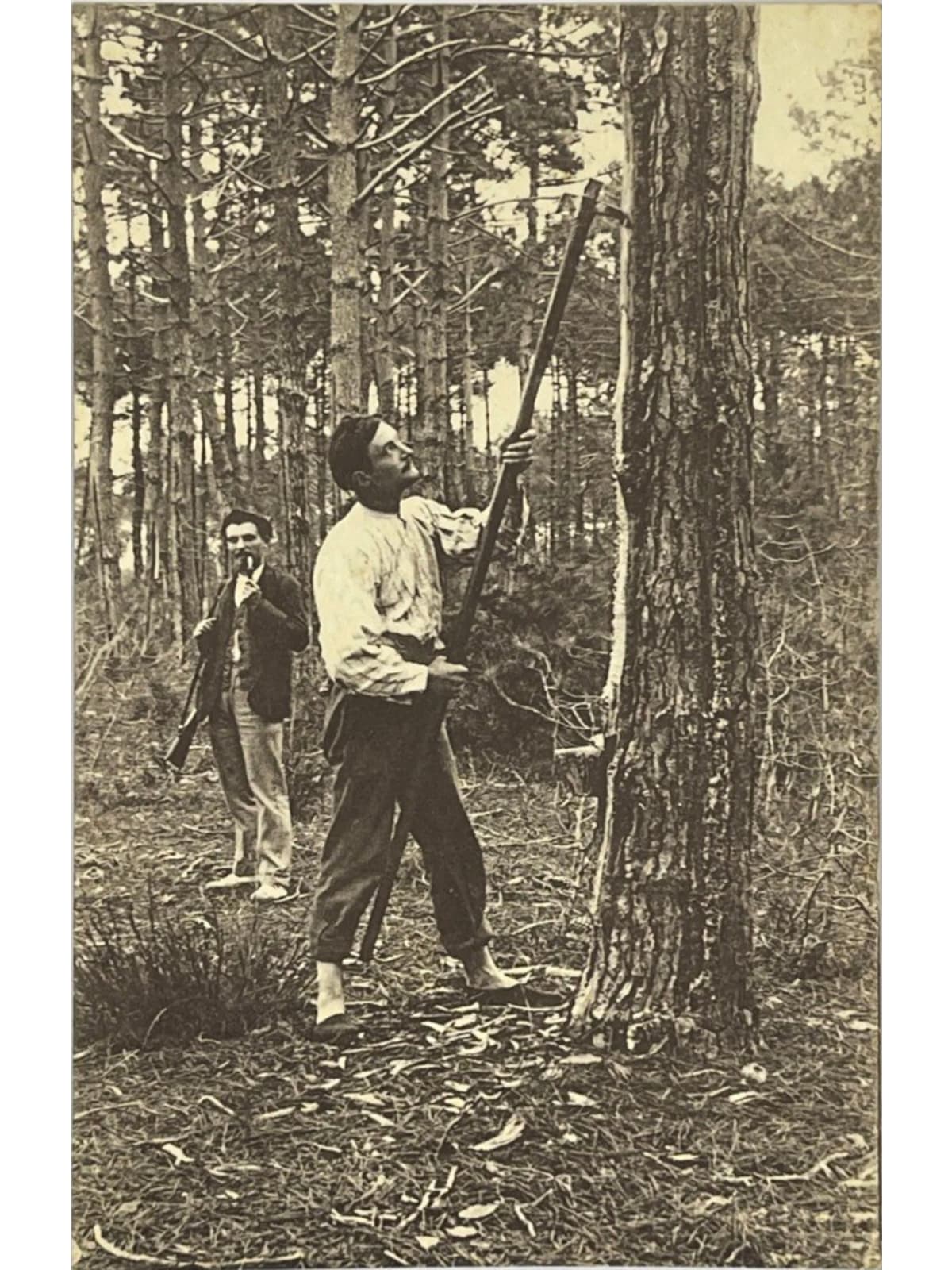 Recto de la carte postale