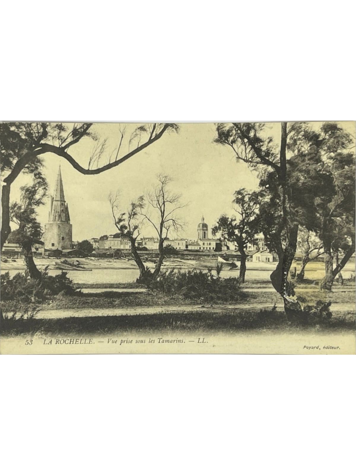 Recto de la carte postale