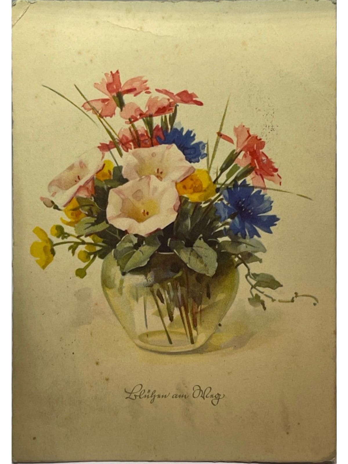 Recto de la carte postale