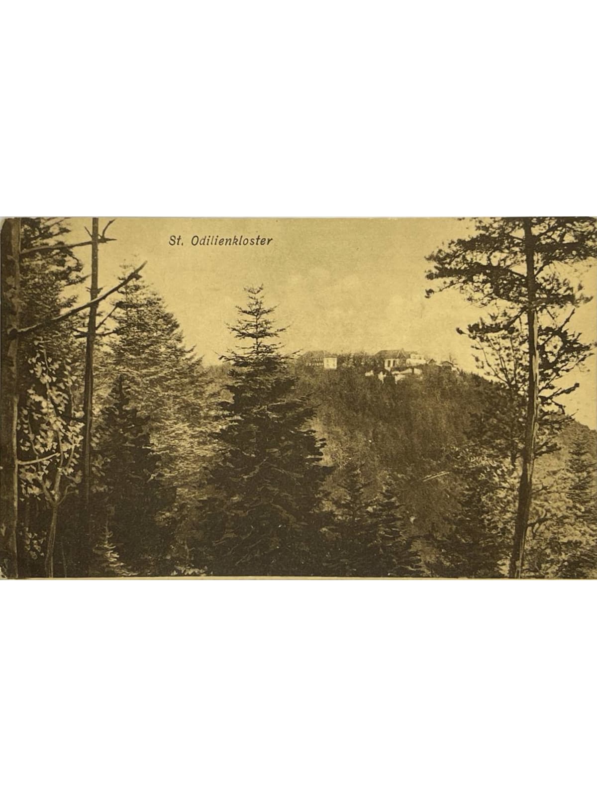 Recto de la carte postale