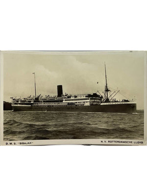 Paquebot D.M.S. Sibajak – Rotterdamsche Lloyd – CPA