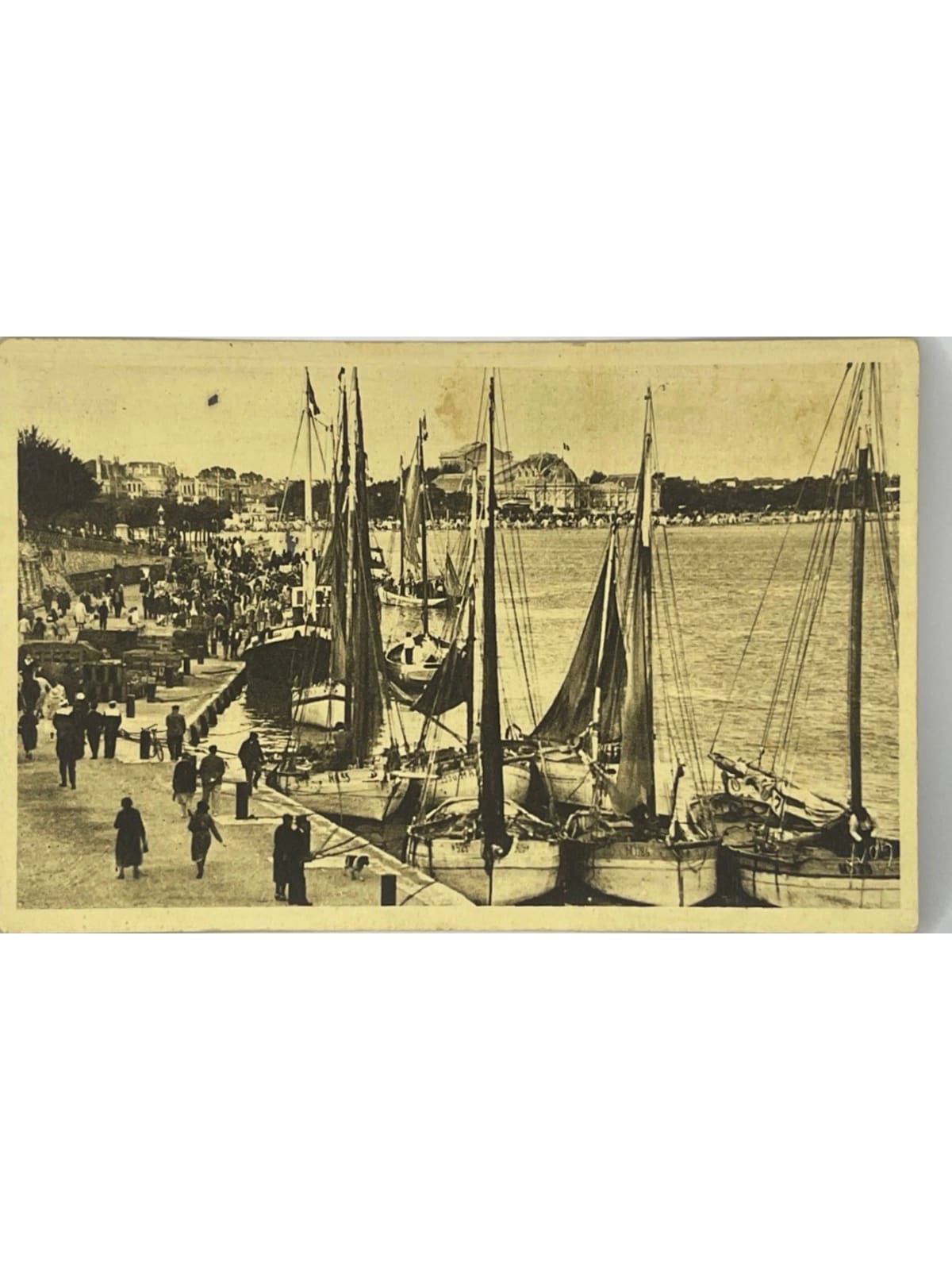 Recto de la carte postale