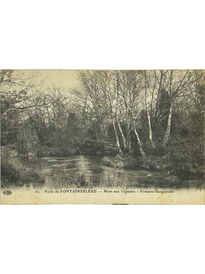 Fontainebleau – Mare aux Ligueurs et Fontaine Sanguinède – CPA E.L.D. n°52