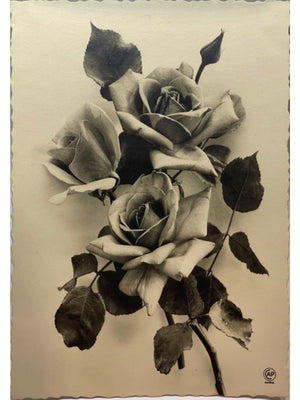 Carte postale ancienne – Bouquet de roses – Réal-Photo A.P. Paris n° 100