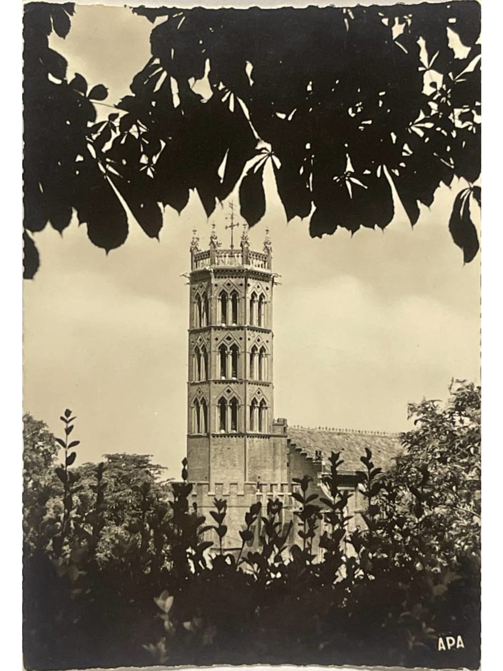 Recto de la carte postale