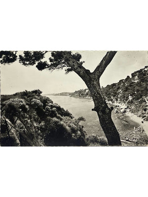 Toulon (Var) – Cap Brun, vue du littoral – CPSM 1957