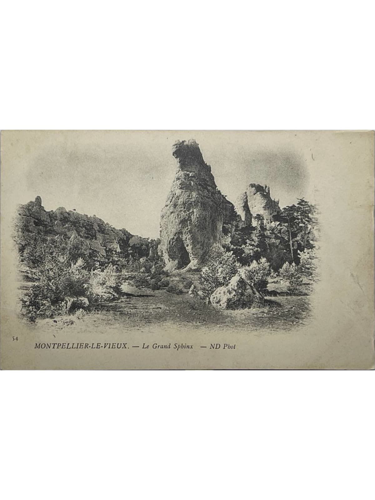 Recto de la carte postale