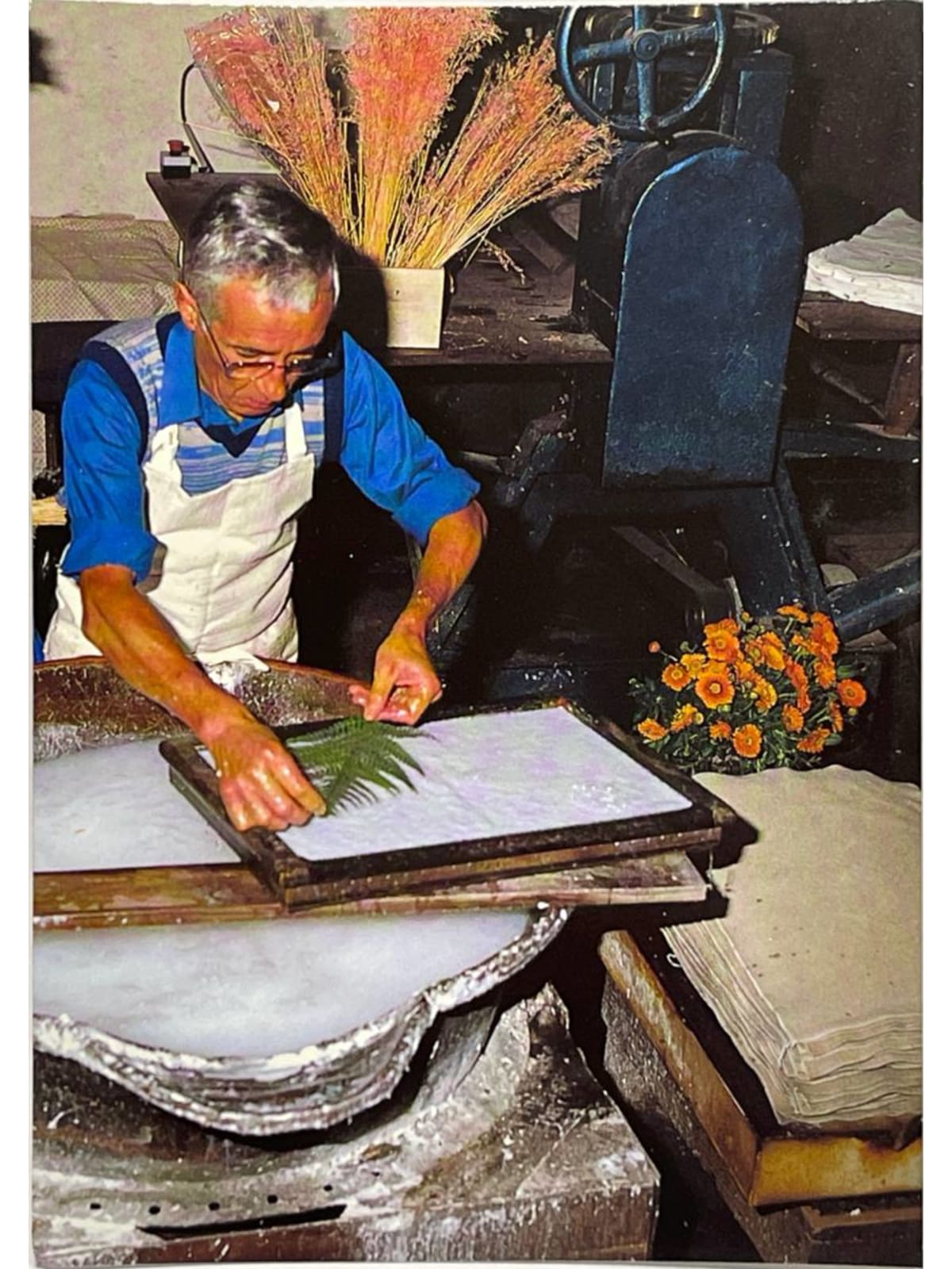 Recto de la carte postale