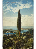 Recto de la carte postale