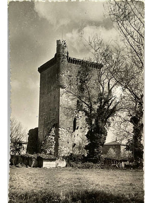 Lesparre-Médoc (Gironde) – Tour de l’Honneur XIVe siècle – CPSM n° 4264