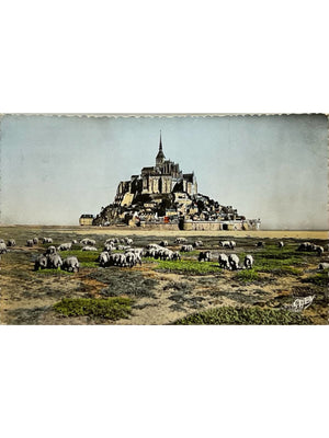 Le Mont-Saint-Michel – Les Prés Salés et troupeau de moutons – CPSM 1958