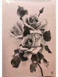 Recto de la carte postale