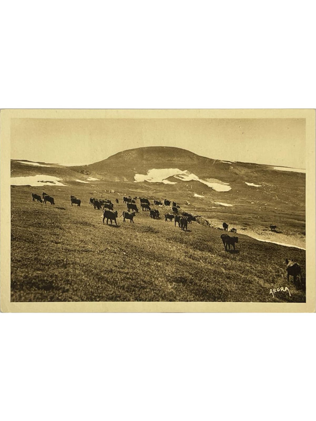 Recto de la carte postale