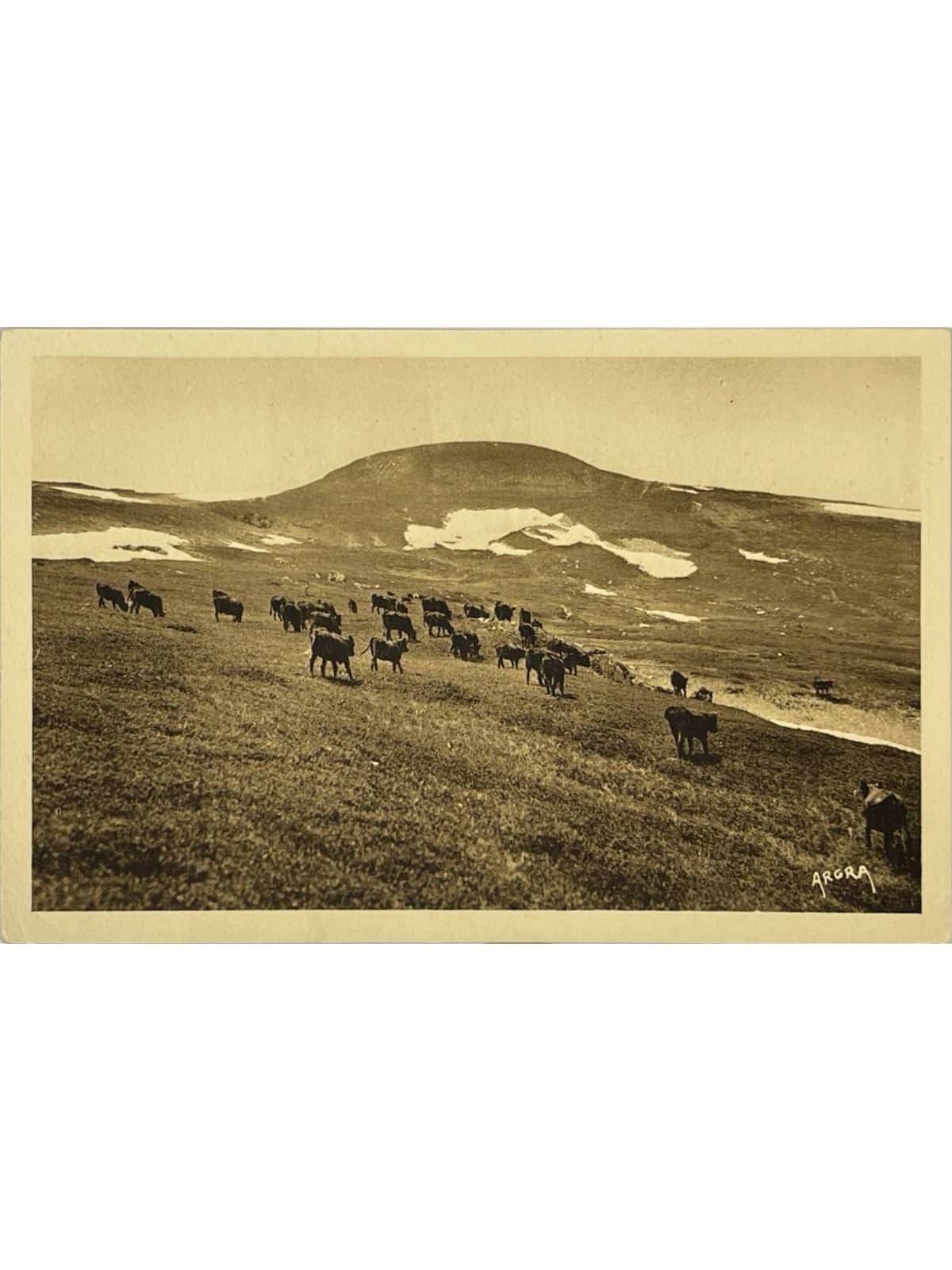 Recto de la carte postale