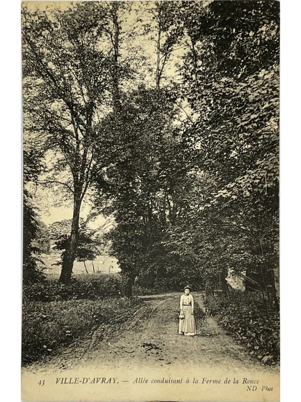 Recto de la carte postale