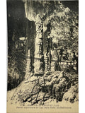 Recto de la carte postale