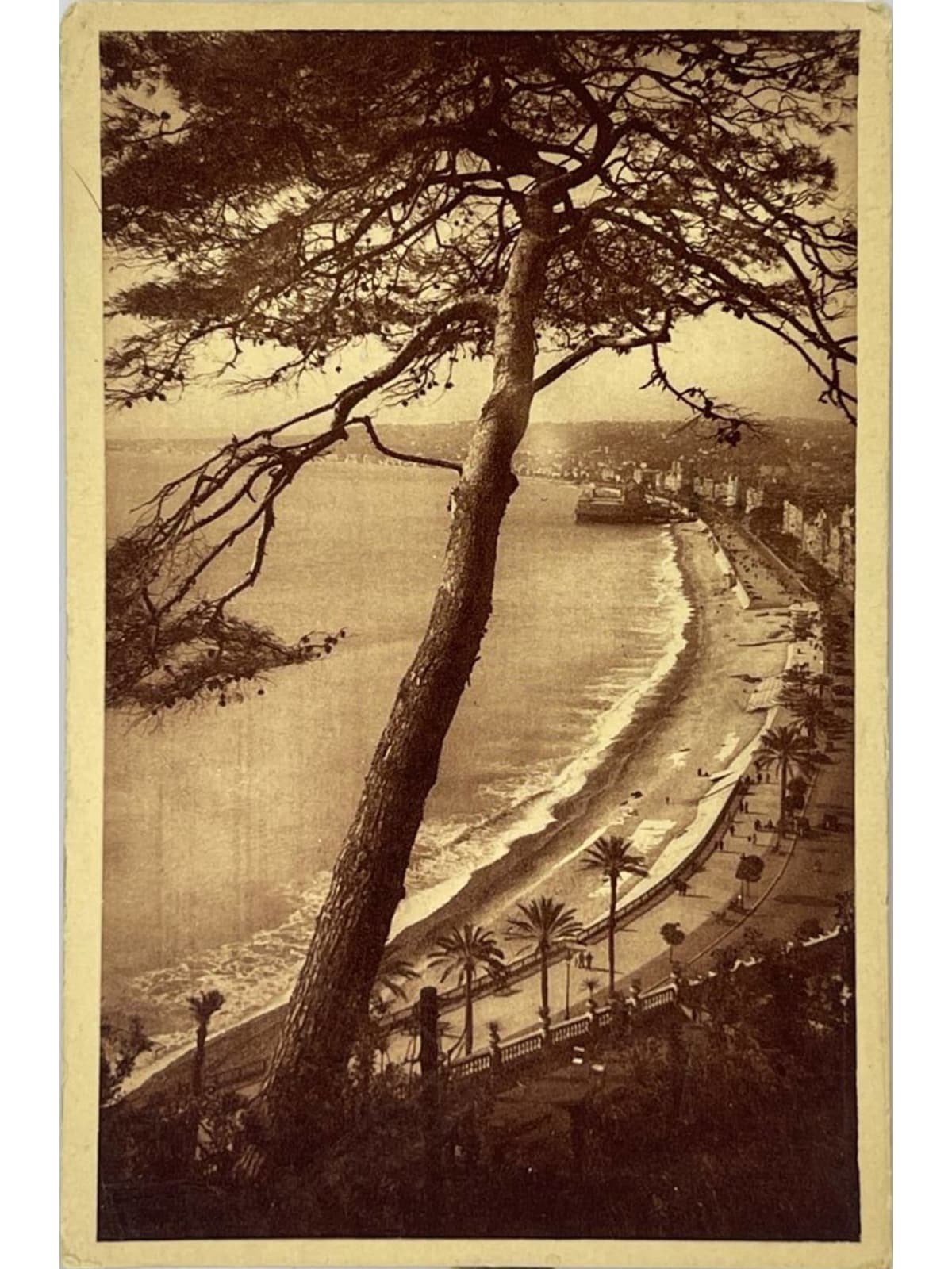 Recto de la carte postale