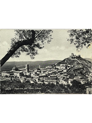 Assise – Panorama depuis le mont Subasio et Rocca Maggiore – CPSM