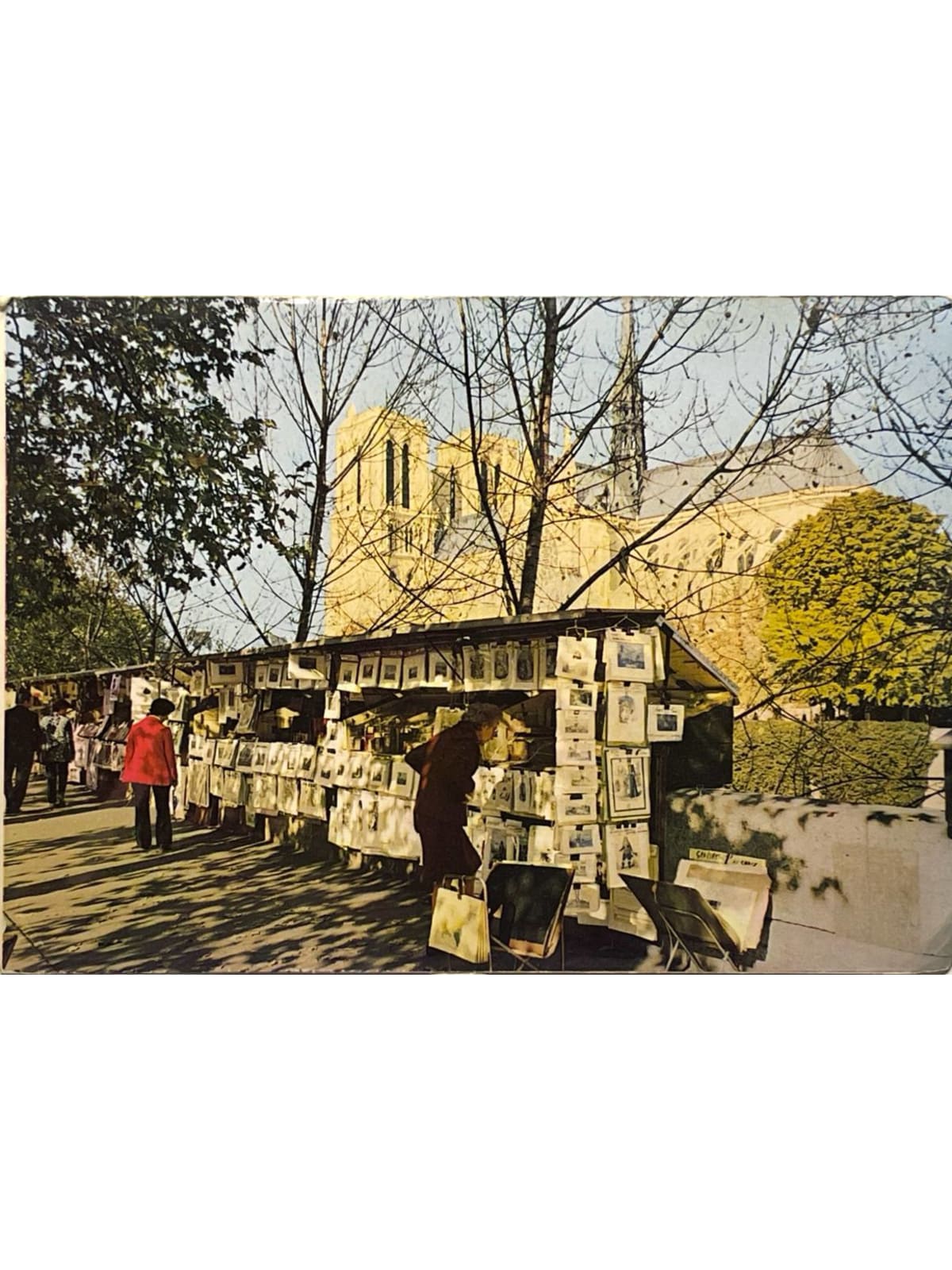 Recto de la carte postale