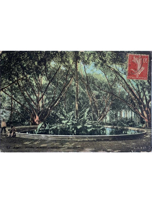 Alger – Jardin d'Essai, rond-point des Dracénas – CPA colorisée n°20