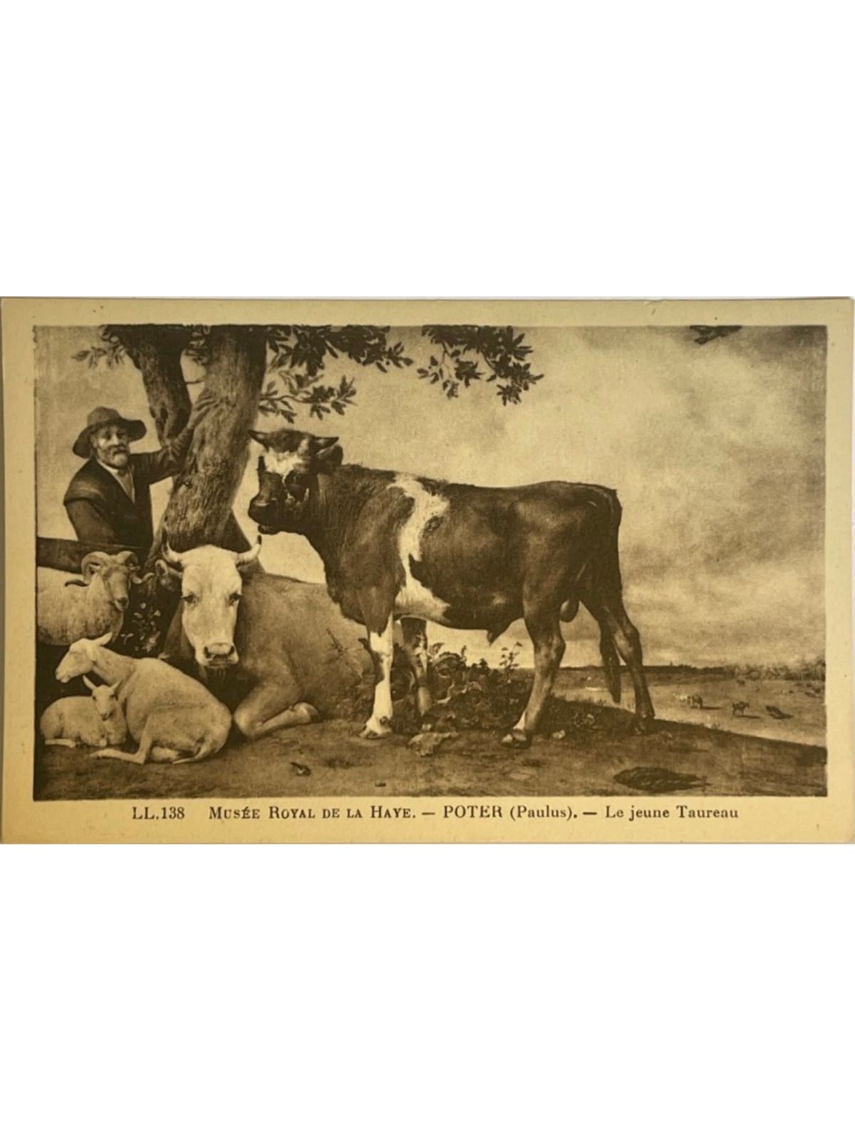 Recto de la carte postale