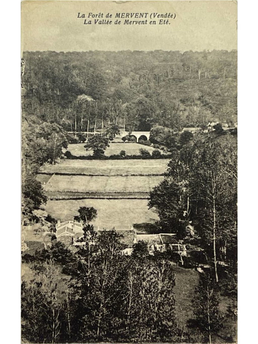 Recto de la carte postale