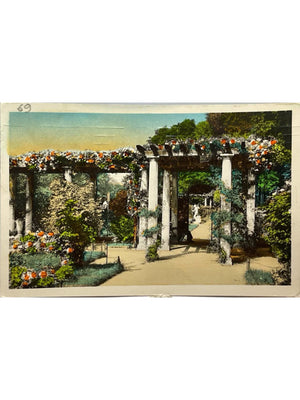 Lyon – Parc de la Tête d'Or, la Roseraie – CPSM colorisée n°146