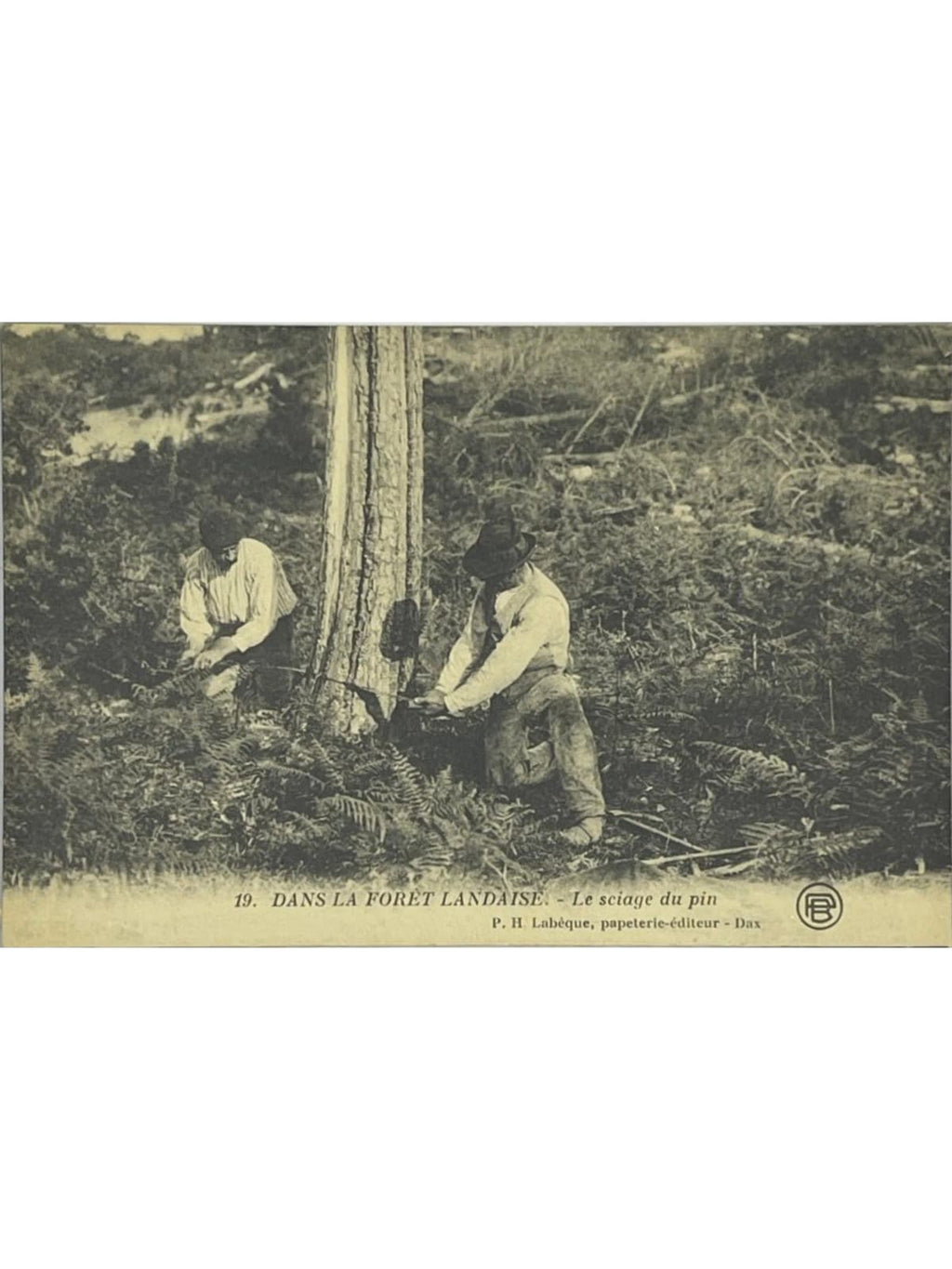 Recto de la carte postale