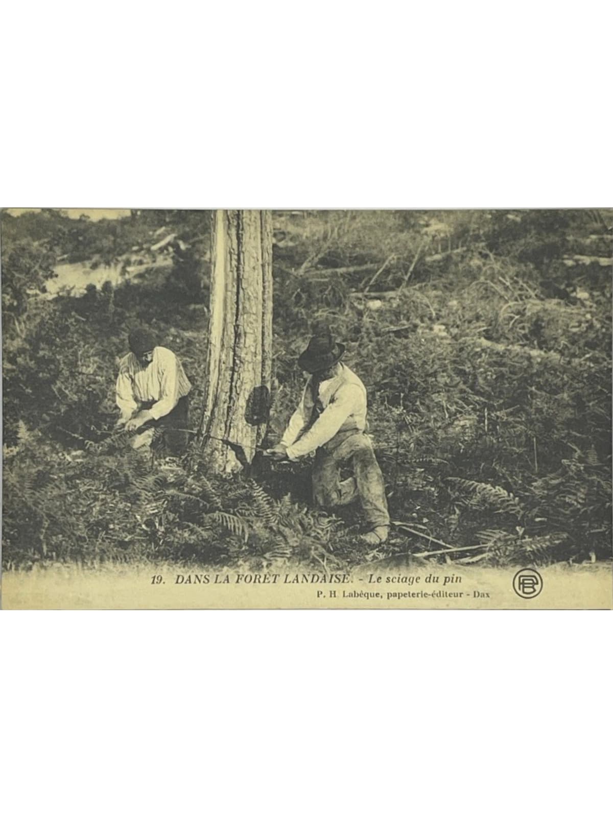 Recto de la carte postale