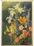Recto de la carte postale