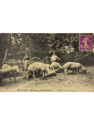 Yerville – Bruno, Bosc-Mauger – Élevage de porcs et scène agricole