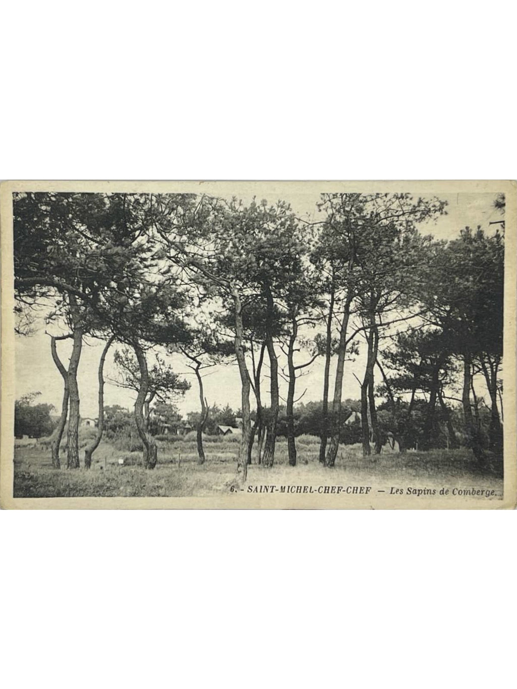 Recto de la carte postale