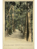 Recto de la carte postale