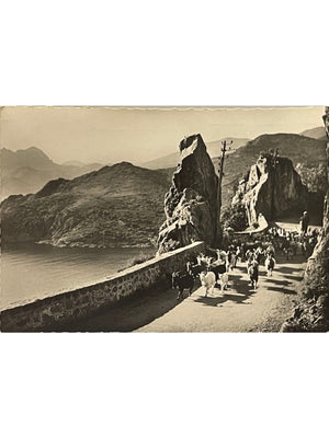 Golfe de Porto – Le retour du berger – Corse – CPSM n°617
