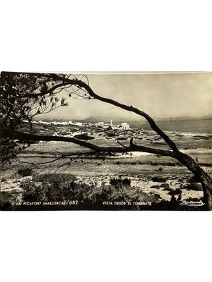 Can Picafort à Majorque – Vue depuis le torrent – Zerkowitz – CPSM n° 682
