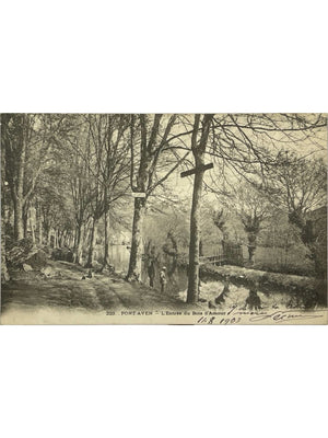 Pont-Aven – L'Entrée du Bois d'Amour – CPA n° 223, 1903