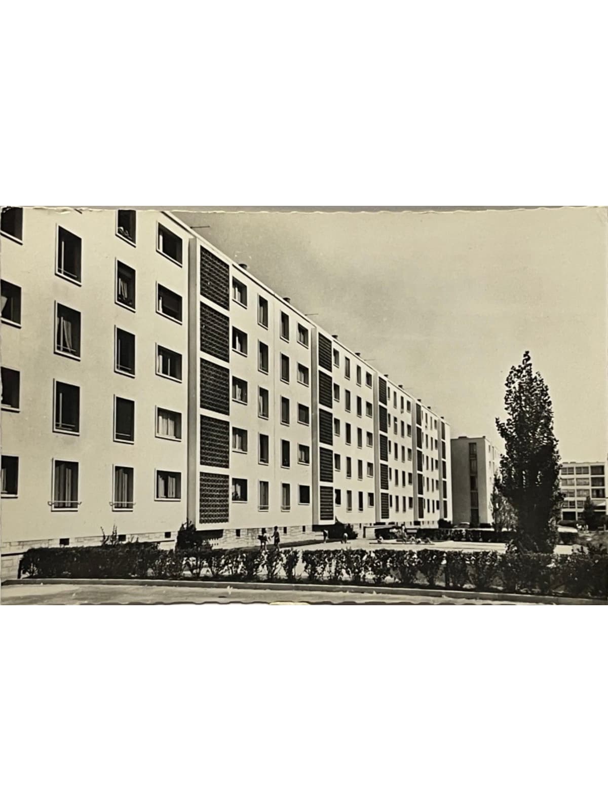 Recto de la carte postale