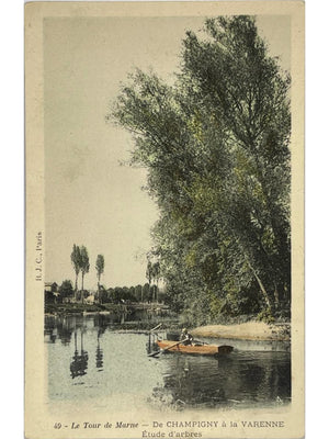 Champigny à La Varenne – Bords de Marne, étude d’arbres – CPA n° 49