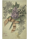 Recto de la carte postale