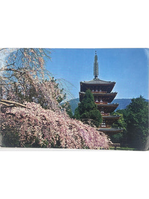 Kyoto – Temple Daigo-ji, pagode et cerisier en fleurs – CPSM 1973