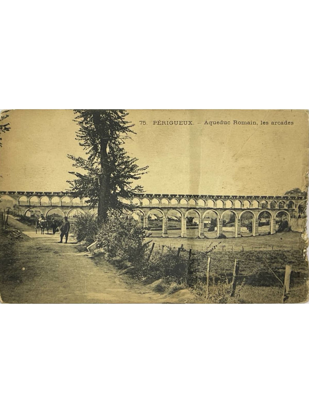 Recto de la carte postale