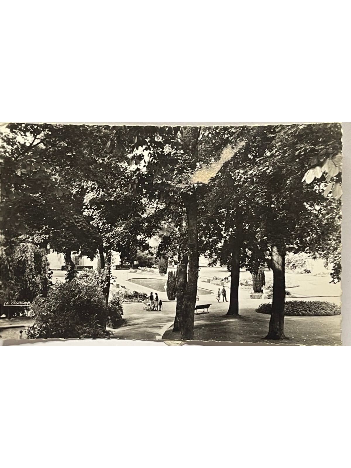 Recto de la carte postale