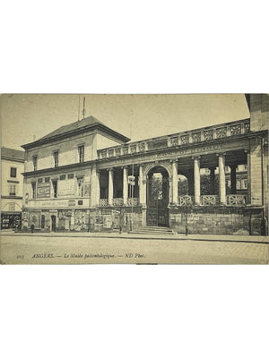 Angers – Le Musée paléontologique – CPA n° 203 ND Phot.