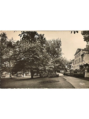 Romorantin-Lanthenay – Le Square – Carte postale Combier, 1953