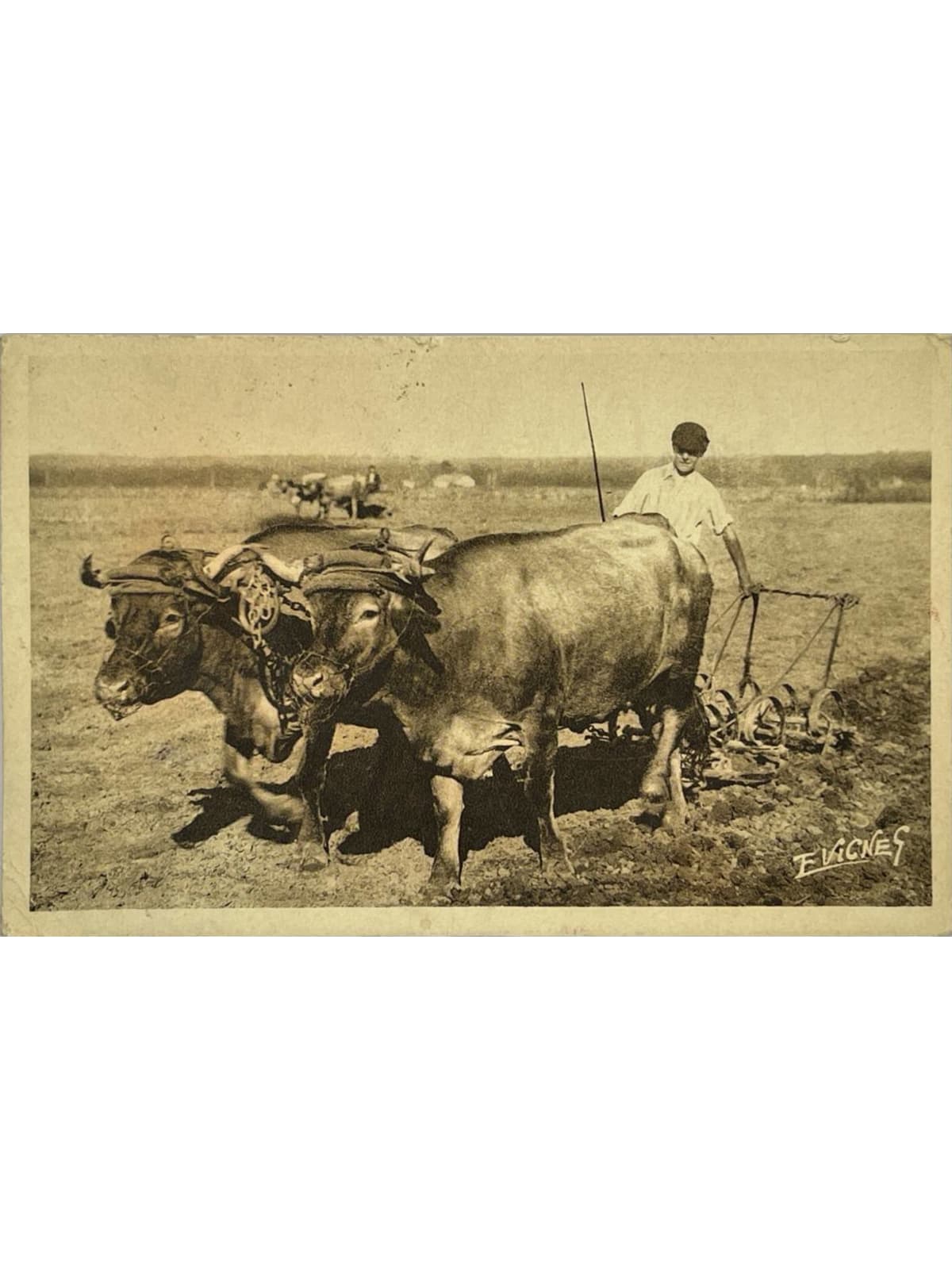 Recto de la carte postale