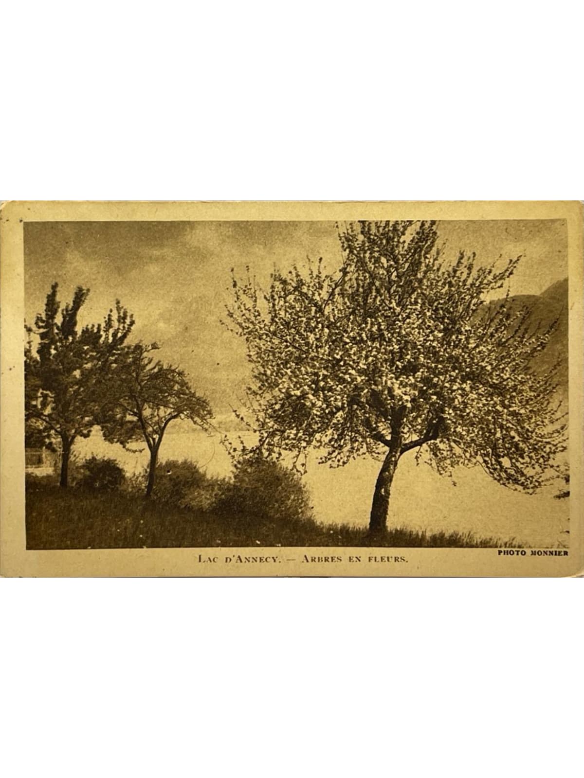 Recto de la carte postale