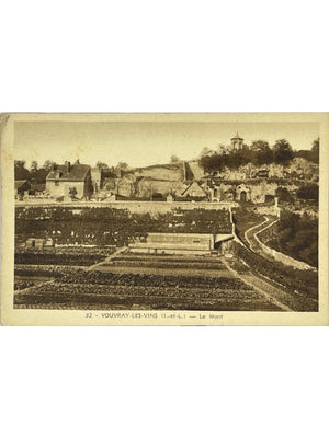 Vouvray-les-Vins (Indre-et-Loire) – Le Mont et les vignobles – CPA n°32
